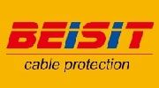 โลโก้ BEISIT